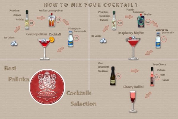 coctail box user manual